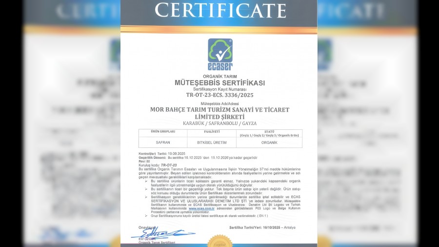 BAKKA destekleriyle safran �retiminde organik �retime ge�ildi