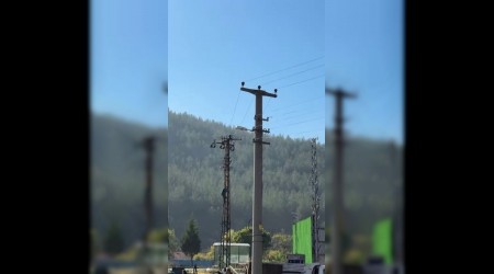 Trafik cezasna fkelenen src elektrik direine kt