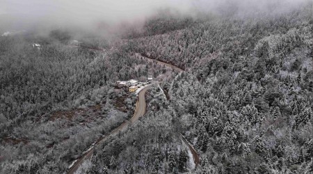 Beyaz rtyle kaplanan ormanlar dronla grntlendi