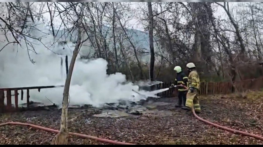 Kamelya yang�nda k�le d�nd�