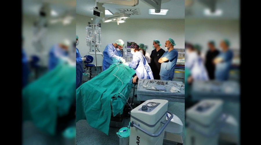 Karabk'te anestezi ile di sal hizmeti balad