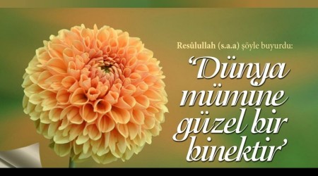 ‘Dnya mmine gzel bir binektir’