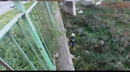 Filyos ay'na den yavru kedi kurtarld