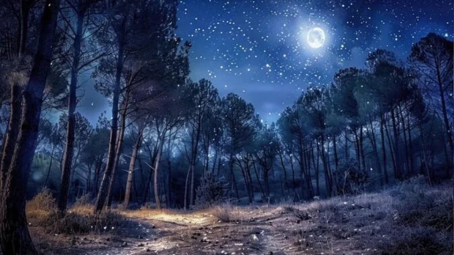 ��ki �e�it ahlak vard�r�