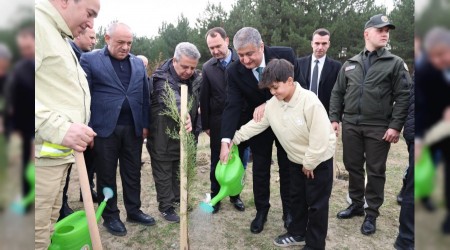 Gelecee Nefes iin fidanlar toprakla bulutu