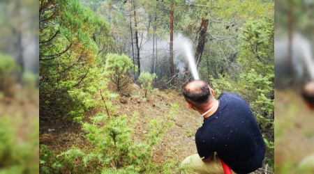 Karabk'te orman yangn ksmi olarak kontrol altna alnd