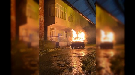 Park halindeki otomobil alevlere teslim oldu