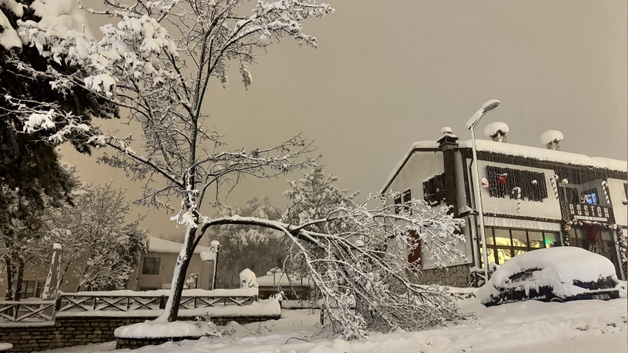 Kar a��rl���na dayanamayan �ok say�da a�ac�n dallar� k�r�ld�