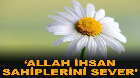 Allah ihsan sahiplerini sever