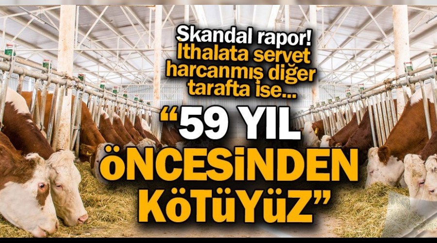 Hayvanclkta 59 yl ncesinden ktyz