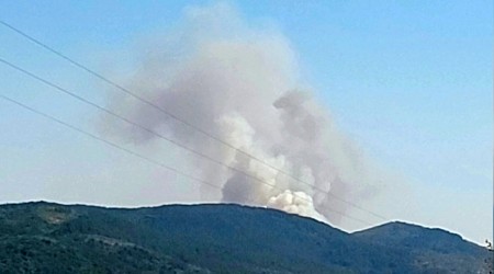 Karabk'te orman yangn kt