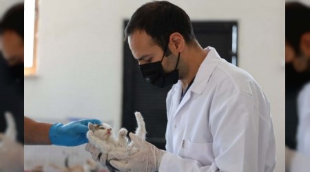 "Siz Sahiplenene Kadar Biz Ev Sahiplii Yapyoruz"