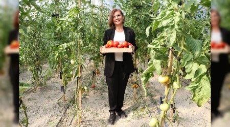 Belediye serada rettikleri ile ihtiya sahiplerine derman oluyor