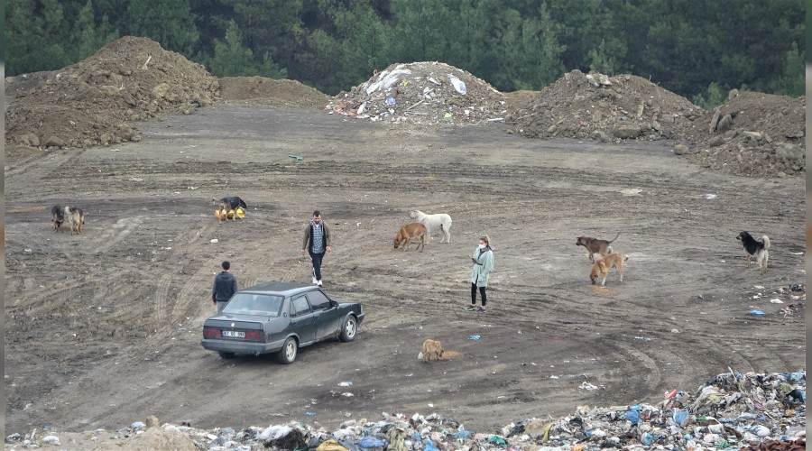 Sahipsiz sokak hayvanlarna mama yetitirmekte zorlanyorlar