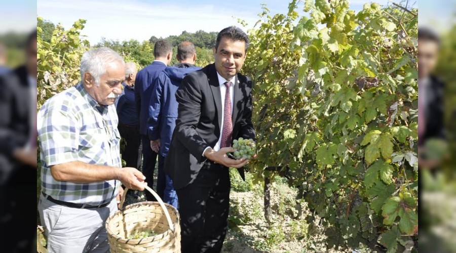 Safranbolu'da "ba bozumu"