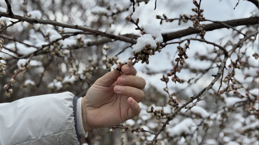 G�ne�in a�mas�yla olu�an e�siz kar manzaralar� dronla g�r�nt�lendi