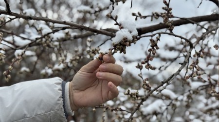 G�ne�in a�mas�yla olu�an e�siz kar manzaralar� dronla g�r�nt�lendi