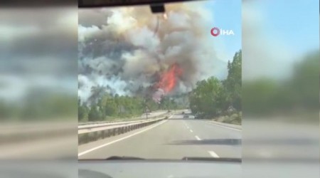 Karabk'te orman yangn kt