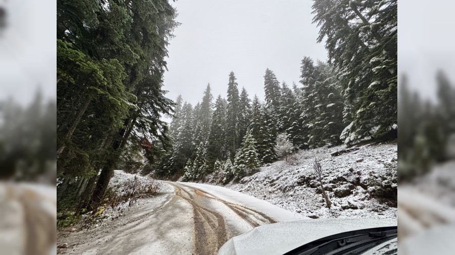 Karabkn yksek kesimleri beyaza brnd