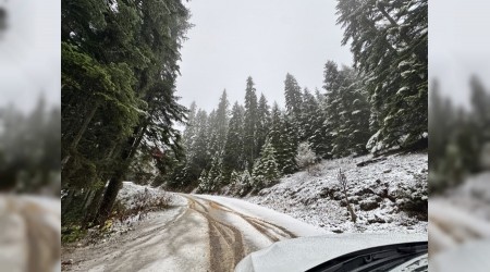 Karabkn yksek kesimleri beyaza brnd