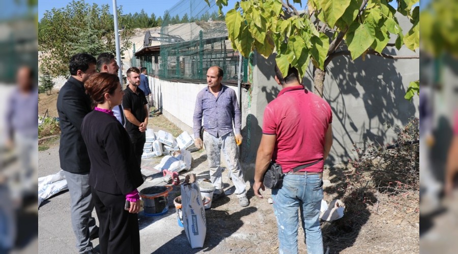 Safranbolu'da hayvan barnanda tadilat