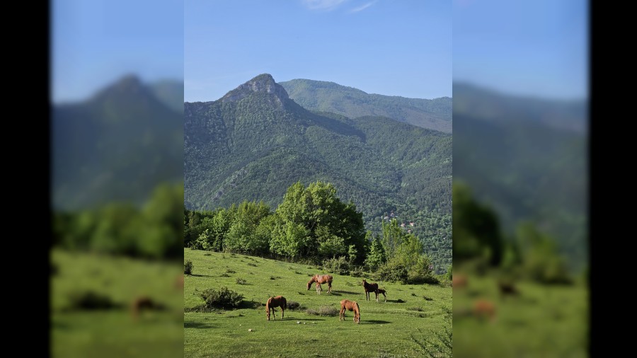 Yaylalarn zgr ruhlar ylk atlar havadan grntlendi