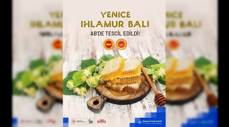 Yenice hlamur bal AB'de tescil edilen 43. corafi iaretli rn oldu