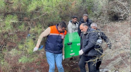 29 yandaki kayp gen l olarak bulundu