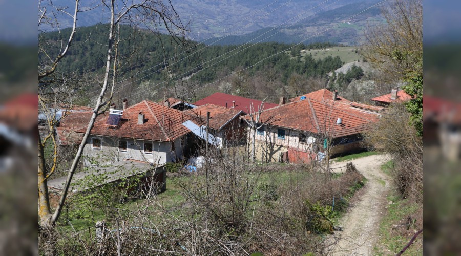 Karantinaya alnan iki kyde sessizlik hakim