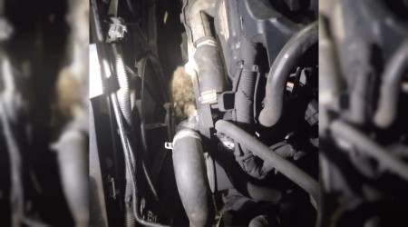 Minibsn motoruna skan kedi kurtarld