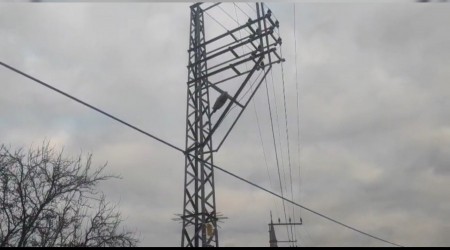 Elektrik akmna kaplan ii hayatn kaybetti