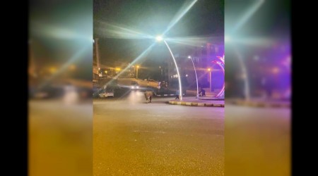 Karabk'te inekler caddeye indi