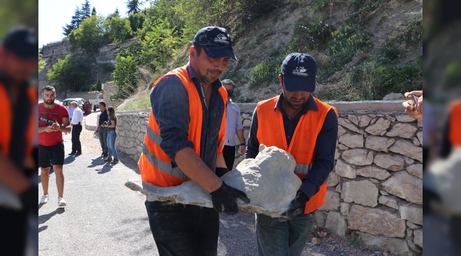 Safranboluda bulunan aslan figrl ta polisi alarma geirdi