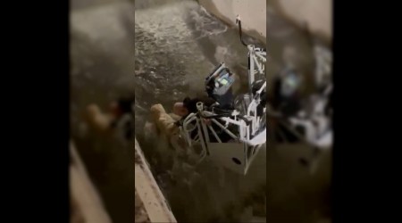 Su kanal�na d��en k�pe�i itfaiye kurtard�