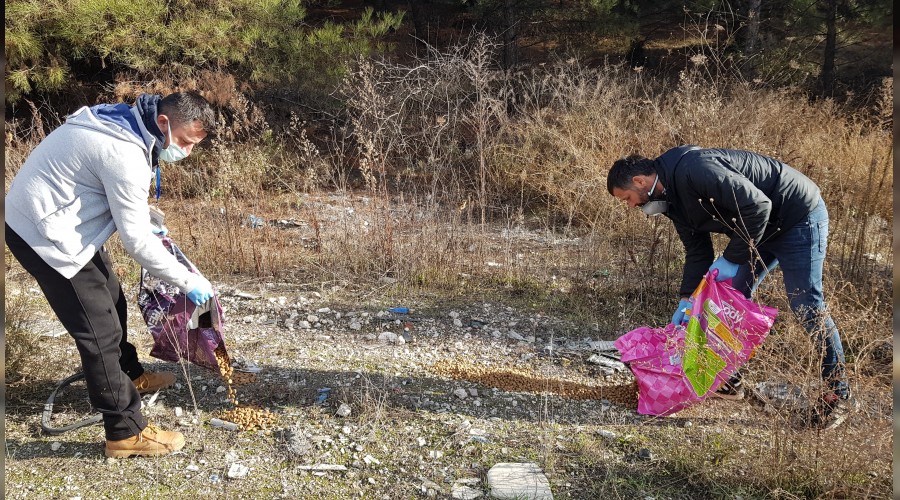 Sokak hayvanlarnn a kalmamas iin 80 kiilik ekip kurdu