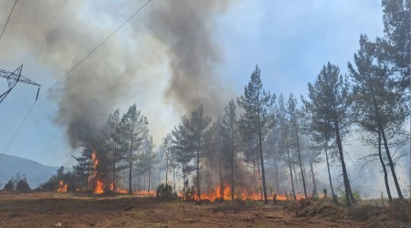 Ormanlk alanda kan rt yangn kontrol altna alnd