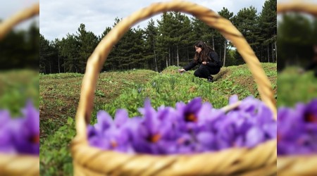 Safran, sar�msak ve k�rm�z� bibere bilimsel g�vence